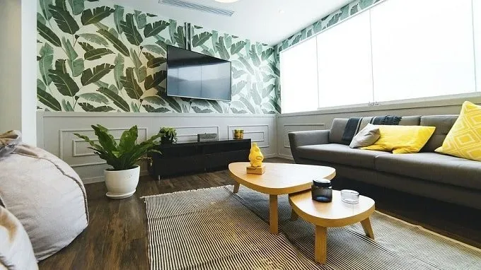 living room feng shui color plants